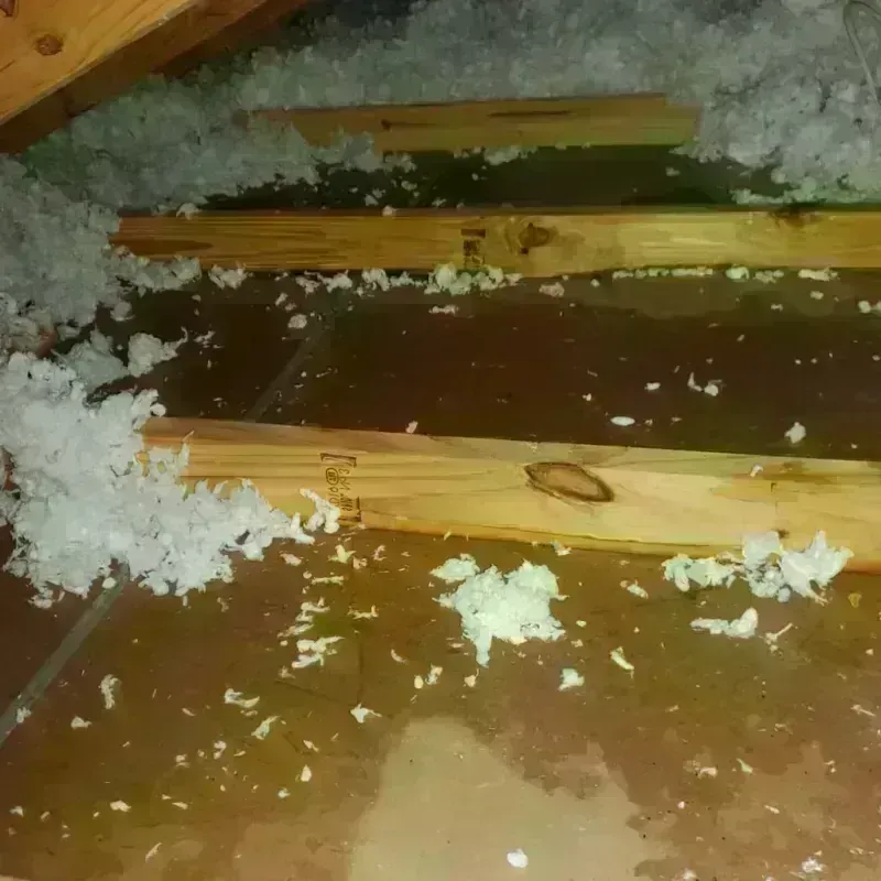 Attic Water Damage in Baker County, GA