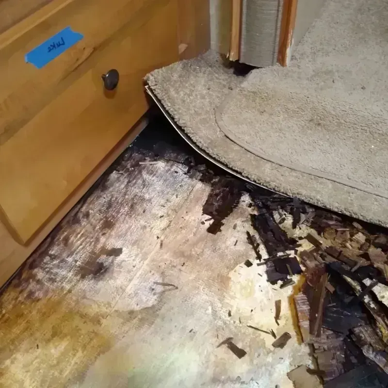 Wood Floor Water Damage in Baker County, GA